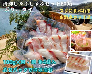 yӂ邳Ɣ[Łz iⓀj ^C u Jbg CN Ԃ 100g e 4 v 800g ^ ɐu 鐅Y ܂ ^  VR XCX ̂ Ђ CN  Yn