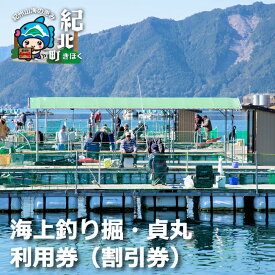 【ふるさと納税】【A19】海上釣り掘・貞丸 利用券（割引券）