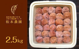 【ふるさと納税】AA024-C大粒無添加南高梅干