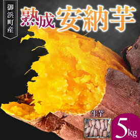 【ふるさと納税】ブライトライフ 熟成 安納芋 5kg (生芋) │ 野菜 サツマイモ さつまいも ねっとり 甘い 安納芋 芋 国産 美味 人気