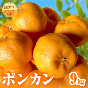 yӂ邳Ɣ[Łzy2026N s\iz~Jt@[ ݂ |J 5kg 9kg Iׂ eʁyOdlY ÂĐHׂ₷z