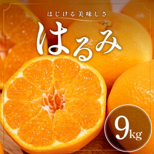 �y�ӂ邳�Ɣ[�Łz�y2026�N���� ��s�\��i�z�e����|���I �~�J�t�@�[�� �݂��� �͂�� 5kg 9kg �I�ׂ� �e�� ��s�\��y�O�d����l���Y �v�`�v�`�ƒe����H���z