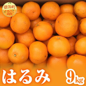 yӂ邳Ɣ[Łzy2026N s\iz~Jt@[ ݂ ͂ 5kg 9kg Iׂ e s\yOdlY v`v`ƒeHz