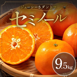 �y�ӂ邳�Ɣ[�Łz�y2026�N���� ��s�\��i�z�W���[�V�[���_���g�c�I �~�J�t�@�[�� �I�����W �Z�~�m�[�� 5kg 9.5kg �t������ �O�d�� ��l���Y�y�����قǃW���[�V�[�I���ɓ��ꂽ�u�ԊÂ������