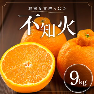 �y�ӂ邳�Ɣ[�Łz�y2026�N���� ��s�\��i�z�Z���ȊÎ_���ς��I �~�J�t�@�[�� �s�m�� 4.5kg 9kg �t������ �O�d�� ��l���Y�y�W���[�V�[�ŔZ���Ȗ��킢�z