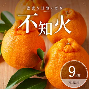 �y�ӂ邳�Ɣ[�Łz�y2026�N���� ��s�\��i�z�Z���ȊÎ_���ς��I �~�J�t�@�[�� �󂠂� �s�m�� 5kg 9kg �ƒ�p �t������ �O�d�� ��l���Y�y�W���[�V�[���Z���Ȗ��킢�A�v�`�v�`�ƒe����H��