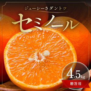 �y�ӂ邳�Ɣ[�Łz�y2026�N���� ��s�\��i�z�W���[�V�[���_���g�c�I �~�J�t�@�[�� �I�����W �Z�~�m�[�� 4.5kg �����p �t������ �O�d�� ��l���Y�y�Z���ȊÖ��ƒ��悢�_���I�z