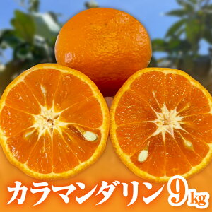 yӂ邳Ɣ[Łzy2026N s\izZƂ|I ~Jt@[ ݂ J}_ 5kg 9kg Iׂ e OdlYyW[V[ZȖ킢̍kz