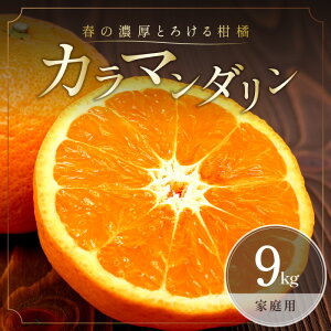 �y�ӂ邳�Ɣ[�Łz�y2026�N���� ��s�\��i�z�~�J�t�@�[�� �݂��� �J���}���_���� 5kg 9kg �ƒ�p �I�ׂ� �e�� �O�d����l���Y�y�W���[�V�[���Z���Ȗ��킢�̍������k�z