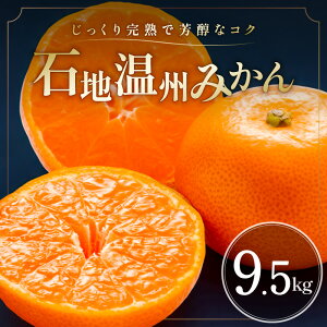 �y�ӂ邳�Ɣ[�Łz�y�ŒZ7�c�Ɠ��ȓ������z�~�J�t�@�[�� �Βn���B�݂��� 5kg 9.5kg �󏭕i�� �O�d����l���Y�y����Ŋ��n�������A�Â��ăR�N�̂���݂���z