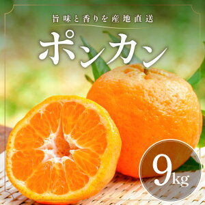 �y�ӂ邳�Ɣ[�Łz�y2026�N���� ��s�\��i�z�|�݂ƍ�����Y�n�����I �~�J�t�@�[�� �݂��� �|���J�� 5kg 9kg �I�ׂ� ���e�ʁy�O�d����l���Y �Â��ĐH�ׂ₷���z