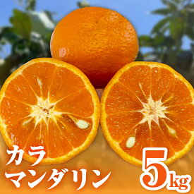 【ふるさと納税】【2026年発送 先行予約品】濃厚とろ旨！ ミカファーム みかん カラマンダリン 5kg 9kg 選べる 容量 三重県御浜町産【ジューシーかつ濃厚な味わいの高級柑橘】