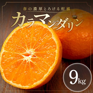 �y�ӂ邳�Ɣ[�Łz�y2026�N���� ��s�\��i�z�Z���Ƃ�|�I �~�J�t�@�[�� �݂��� �J���}���_���� 5kg 9kg �I�ׂ� �e�� �O�d����l���Y�y�W���[�V�[���Z���Ȗ��킢�̍������k�z