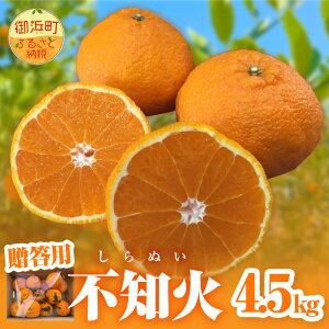 yӂ邳Ɣ[Łzy2026N s\iz~Jt@[ sm 4.5kg p t Od lYyv`v`ƒeHz