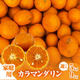 【ふるさと納税】【2026年発送 先行予約品】ミカファーム みかん カラマンダリン 5kg 9kg 家庭用 選べる 容量 三重県御浜町産【ジューシーかつ濃厚な味わいの高級柑橘】