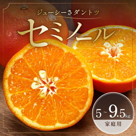 【ふるさと納税】【4月下旬より発送】ジューシーさダントツ！ ミカファーム 訳あり オレンジ セミノール 5kg 9.5kg 三重県 御浜町産【濃厚な甘味と程よい酸味！】