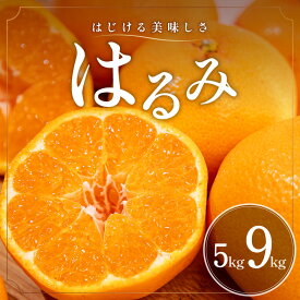 【ふるさと納税】【2027年発送先行予約品】弾ける旨さ！ ミカファーム みかん はるみ 5kg 9kg 選べる 容量 │ 数量限定 果物 フルーツ みかん はるみ 食感 プチプチ ジューシー 旬 冬