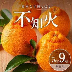 【ふるさと納税】【2027年発送先行予約品】濃密な甘酸っぱさ！ ミカファーム 訳あり 不知火 5kg 9kg 家庭用 │ 数量限定 果物 フルーツ 柑橘 みかん 不知火 シラヌイ 訳あり 家庭用 食感 プチプチ 春 旬