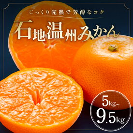 【ふるさと納税】ミカファーム 石地温州みかん 5kg 9.5kg │ 数量限定 果物 フルーツ 柑橘 温州みかん 石地温州みかん 希少品種 冬 旬