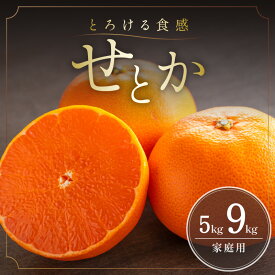 【ふるさと納税】【2027年発送先行予約品】ミカファーム 訳あり せとか 5kg 9kg 家庭用 数量限定 【柑橘の大トロ！ジューシーで濃厚な味わい】