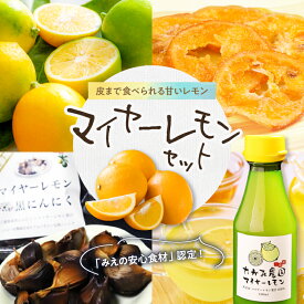 【ふるさと納税】たかみ農園 マイヤーレモン セット │ 果物 フルーツ レモン 檸檬 マイヤーレモン 希少 安心食材 国産 ドライフルーツ 黒ニンニク レモン果汁 万能 秋 詰め合わせ セット