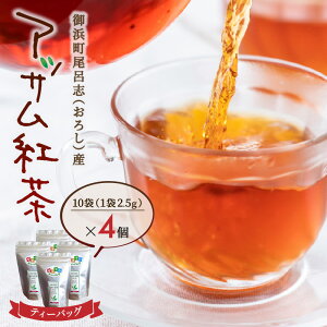 yӂ邳Ɣ[ŁzAbTTea21 g AbTeB[ eB[obO 10×4 YyAbTg̃eB[obOz