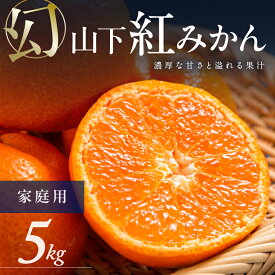 【ふるさと納税】【数量限定】辻本農園 訳あり 山下紅みかん 家庭用 5kg キズあり【栽培が難しく市場に出回りにくい幻のみかん】