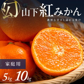【ふるさと納税】【数量限定】辻本農園 訳あり 山下紅みかん 家庭用 5kg 10kg │ フルーツ 果物 柑橘 みかん 紅みかん 山下紅みかん 温州みかん 訳あり キズあり 甘い 高級 数量限定 冬 旬