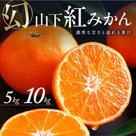 【ふるさと納税】【数量限定】辻本農園 山下紅みかん 5kg 10kg │ フルーツ 果物 柑橘 みかん 紅みかん 山下紅みかん 温州みかん 甘い 高級 数量限定 冬 旬