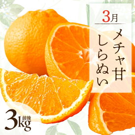 【ふるさと納税】【2027年発送先行予約品】高評価★5.00 3月の御浜柑橘 メチャ甘しらぬい 3kg前後 │ フルーツ 果物 みかん 不知火 しらぬい シラヌイ 旬 おいしい 産地直送 春 旬