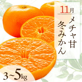 【ふるさと納税】11月の御浜柑橘 メチャ甘冬みかん 3〜5kg │ 早生 マルチ栽培 光センサー選果 国産 柑橘 フルーツ 果物 秋 冬 旬 食品 産地直送 期間限定