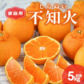 【ふるさと納税】【2027年発送先行予約品】丸安青果 訳あり 不知火 5kg前後 家庭用 │ 果物 フルーツ 柑橘 みかん 不知火 シラヌイ 訳あり 家庭用 春 旬