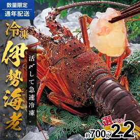 【ふるさと納税】文恵丸水産 ＜選べる内容量＞ 熊野灘産活〆急速冷凍伊勢海老 【急速冷凍した伊勢海老！解凍後はお刺身で食べられます。】