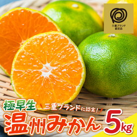 【ふるさと納税】【期間限定】高評価★4.88 JA 温州みかん 極早生 5kg │ 数量限定 果物 フルーツ 柑橘 みかん 南紀みかん 温州みかん 光センサー選果 三重ブランド認定 高品質 国産 夏 秋 旬