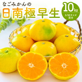 【ふるさと納税】高評価★4.83 なごみかん 日南 極早生みかん 10kg │ 数量限定 フルーツ 果物 柑橘 みかん 極早生 日南 夏 秋 旬