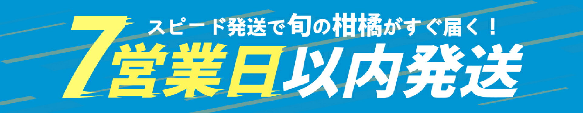 ７営業日以内発送