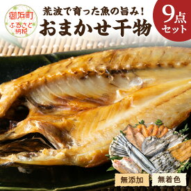 【ふるさと納税】マルミツのおまかせ9点 魚 干物 セット 詰め合わせ 魚 干物 セット 詰め合わせ ふぐ ウルメ 太刀魚 カマス アジ 鯛 甘鯛 さんま 送料無料 無添加 無着色 三重県 御浜町