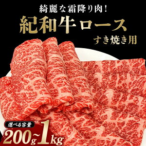 yӂ邳Ɣ[Łz Ăp Ia[X yeʁE①orⓀIтz /  Ԑg Ă Ă Y a јa zX^C Mtg 蕨  e