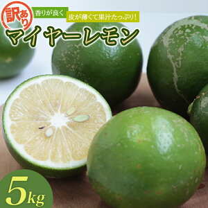 yӂ邳Ɣ[Łz 󂠂 Y ʌ }C[ 3kg܂5kg y2025N10`2026N1{̊Ԃŏz /  Y }C[ ʌ 󂠂