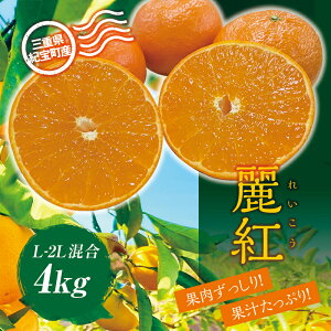 yӂ邳Ɣ[Łz g _ g (ꂢ) 4kg L-2L TCY y2026N12܂łɏz ݂ ~J  t[c ʕ  Yn Â W[V[ ʌ