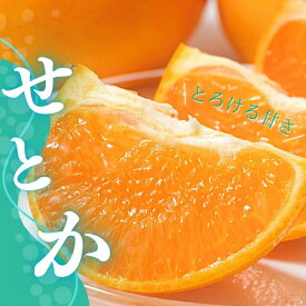【ふるさと納税】 【先行予約】＼選べる容量／ 玉数・サイズおまかせ 橋本農園の せとか 3kg 5kg 10kg【2027年3月上旬〜3月下旬に順次発送】 みかん ミカン 蜜柑 柑橘 果物 くだもの フルーツ 予約 人気 ジューシー 甘い 産地直送 送料無料