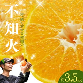 【ふるさと納税】 不知火 石本果樹園の 美味しい 不知火 約3.5kg 8〜12玉前後【2026年2月初旬から2月下旬までに順次発送】 / みかん フルーツ くだもの 果物 柑橘 デコポン 先行予約 産地直送 送料無料
