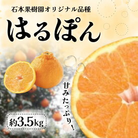 【ふるさと納税】 石本果樹園の 完熟 はるぽん 約3.5kg 【2026年3月上旬から4月上旬までに順次発送】 / ミカン 蜜柑 柑橘 フルーツ くだもの 果物 先行予約 不知火 産地直送 送料無料