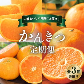【ふるさと納税】 柑橘 定期便 石本果樹園 旬の柑橘を春夏秋冬でお届け！【全3回】 / フルーツ 果物 くだもの 柑橘 フルーツ定期便 くだもの定期便 定期便 みかん ミカン 温州みかん せとか カラマンダリン みかんジュース 産地直送 旬 人気 おすすめ 三重県 紀宝町
