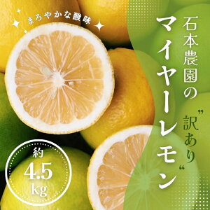 yӂ邳Ɣ[Łz󂠂 Ζ{_̃}C[  TCY 4.5kg y2025N12{12܂łɏz / EG  k
