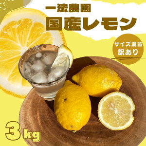 yӂ邳Ɣ[Łz @_ Y TCY 3kg(15O) 󂠂 ƒpy12{`3{܂łɏz /   EG  t[c ʕ