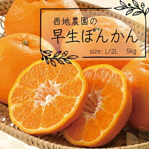 yӂ邳Ɣ[Łz s\ LE2LTCŶ n_̑ۂ񂩂 5kgy2025N12珇z / ۂ񂩂 k ݂  nEX 2L L 
