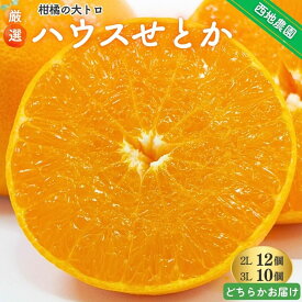 【ふるさと納税】 せとか 西地農園の ハウスせとか 2L 12個 / 3L 10個 【2027年2月中旬より順次発送】 手選別 ハウスせとか みかん ミカン 蜜柑 柑橘 果物 くだもの フルーツ 予約 人気 ジューシー 甘い 産地直送 送料無料
