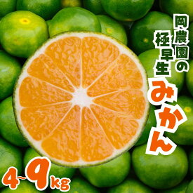 【ふるさと納税】 【容量が選べる】サイズ2S~M 岡農園の極早生温州みかん 【2025年9月中旬から10月下旬までに順次発送】/ みかん 蜜柑 温州みかん 極早生みかん 柑橘