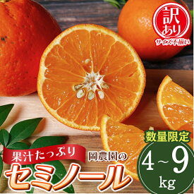 【ふるさと納税】 【先行予約】【容量が選べる】訳あり品 サイズ混合 ご家庭用 岡農園のセミノール【2026年3月下旬から4月下旬までに順次発送】 / セミノール わけあり 訳あり 家庭用 みかん 蜜柑 数量限定 ミカン
